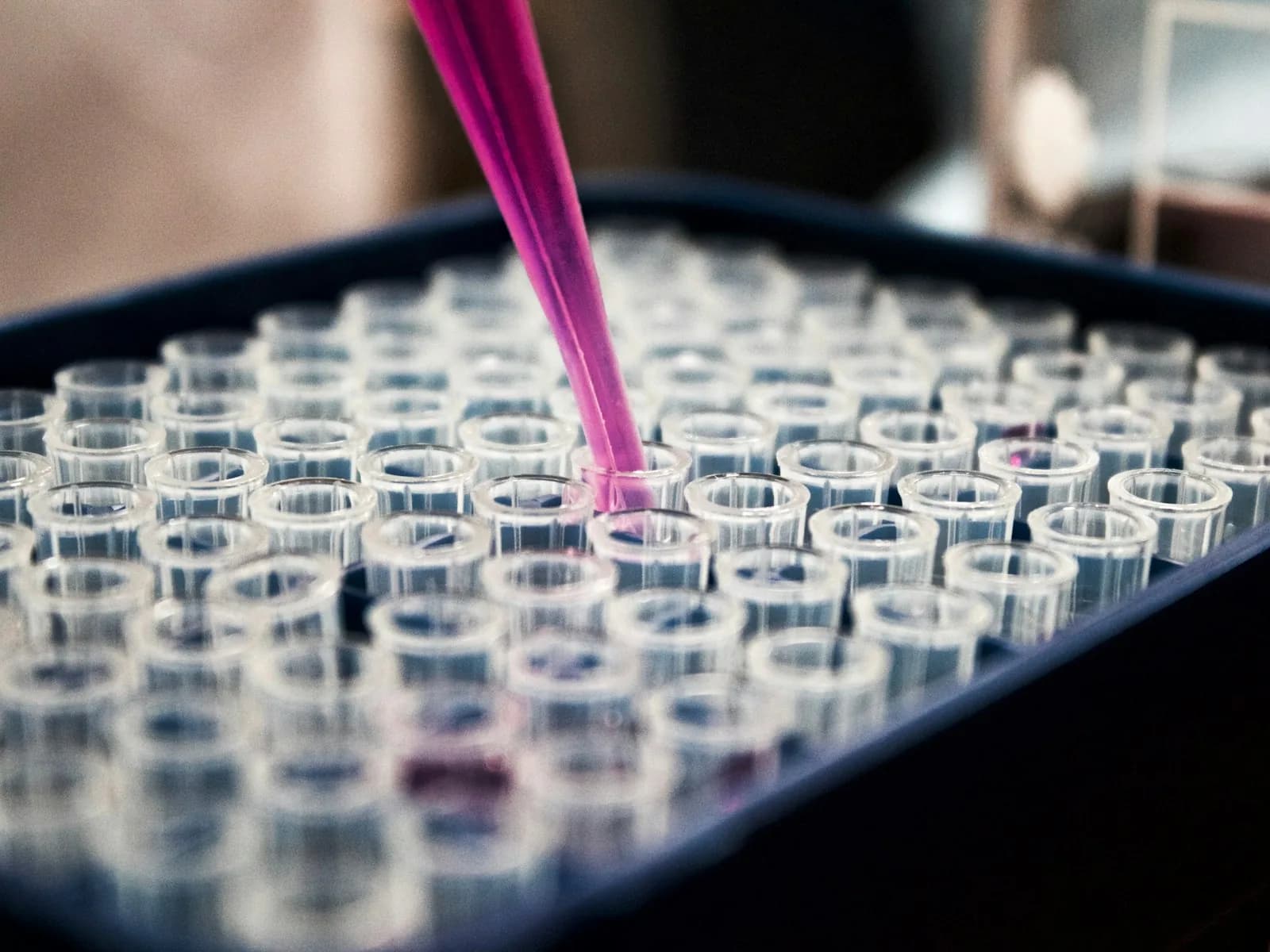 Laboratory-ready blood testing and sample care